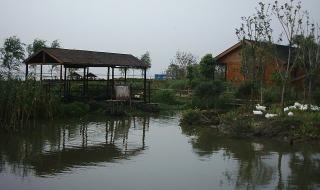 阳澄湖莲花岛农家乐 阳澄湖莲花岛农家乐