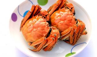 蒸螃蟹需要多长时间