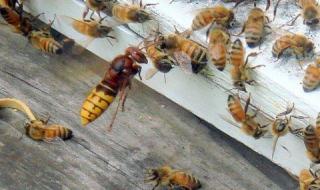 男人女人40分钟视频 男人女人40分钟视频