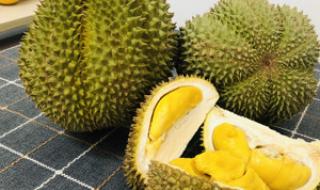 甲仑榴莲的特点是什么 甲仑榴莲的特点是什么