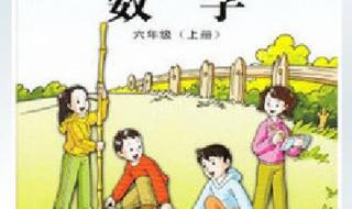 小学6年级数学上册